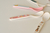 Cuchara de bamboo - comprar online