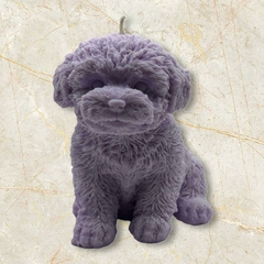PERRO - Mossi