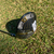 Imagem do Callaway Epic Max Star Driver 12º - Feminino