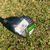 Callaway Epic Speed Madeira 5 - Ladies - comprar online