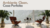 Banner de Casa Perfeita Interiores