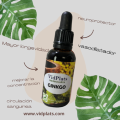 Gikgo Extracto 30ml - comprar en línea
