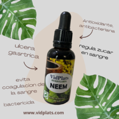 Neem Extracto de Neem hoja 30ml - comprar en línea