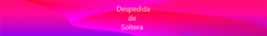 Banner de la categoría Despedida de Soltera 