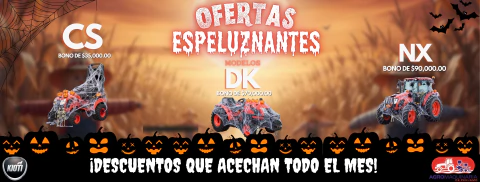 Imagen del carrusel 1