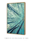Imagem do Quadro Decorativo Árvore Céu Azul 2
