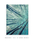 Imagem do Quadro Decorativo Árvore Céu Azul 2