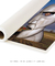 Imagem do Quadro Decorativo Capa de Disco Pink Floyd Division Bell