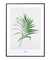 Quadro Decorativo Folha Dypsis