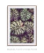 Quadro Decorativo Folhagem Roxa - Quadros Incríveis