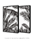 Quadro Decorativo Folhagens Pretas - Composição com 2 Quadros - Quadros Incríveis