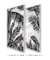 Quadro Decorativo Folhagens Pretas - Composição com 2 Quadros
