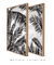 Quadro Decorativo Folhagens Pretas - Composição com 2 Quadros na internet