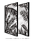 Quadro Decorativo Folhagens Pretas - Composição com 2 Quadros