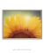 Imagem do Quadro Decorativo Girassol Flor