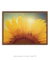 Quadro Decorativo Girassol Flor na internet