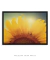 Quadro Decorativo Girassol Flor - loja online