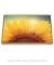 Imagem do Quadro Decorativo Girassol Flor