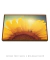 Quadro Decorativo Girassol Flor