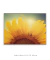 Quadro Decorativo Girassol Flor na internet