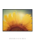 Quadro Decorativo Girassol Flor