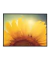 Quadro Decorativo Girassol Flor