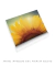Quadro Decorativo Girassol Flor - comprar online