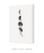 Quadro Decorativo Lua Fases Fundo Branco na internet