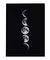Quadro Decorativo Lua Fases Fundo Preto