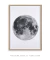 Imagem do Quadro Decorativo Lua Fundo Branco