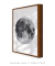 Quadro Decorativo Lua Fundo Branco na internet