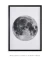 Quadro Decorativo Lua Fundo Branco - Quadros Incríveis