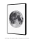 Imagem do Quadro Decorativo Lua Fundo Branco