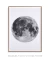 Quadro Decorativo Lua Fundo Branco - Quadros Incríveis