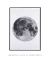 Imagem do Quadro Decorativo Lua Fundo Branco