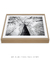 Quadro Decorativo Paisagem Árvores Luna Nera Preto e Branco