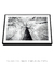 Quadro Decorativo Paisagem Árvores Luna Nera Preto e Branco