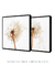 Quadros Decorativos Flores Dente de Leão - Composição 2 Quadros