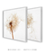 Quadros Decorativos Flores Dente de Leão - Composição 2 Quadros