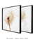 Quadros Decorativos Flores Dente de Leão - Composição 2 Quadros