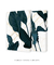 Quadros Decorativos Folhagens Mármore - Composição com 2 Quadros - comprar online