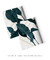Quadros Decorativos Folhagens Mármore - Composição com 2 Quadros