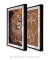 Quadros Decorativos Leão e Pray - Composição com 2 Quadros - loja online