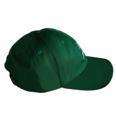Boné Spider Verde na internet