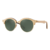 Lentes de Sol Ray-Ban Clubmaster 4246M 1179 Madera Clara/Marron Liso