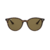 Lentes de Sol Ray-Ban Erika 4305 710/73 Carey- Marron Liso (Standard 53-19) en internet