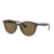 Lentes de Sol Ray-Ban Erika 4305 710/73 Carey- Marron Liso (Standard 53-19) - comprar online