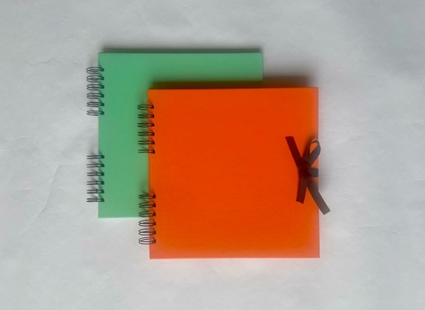 SCRAPBOOK C23 -LISO PANTONE 24x24cm. - comprar online