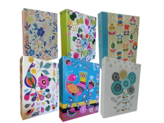 MINI MAX 200 FOTOS -FANTASIA (CAMI)