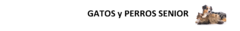 Banner de la categoría SENIOR